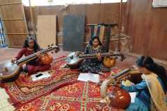 Veena