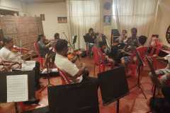 Violin- western